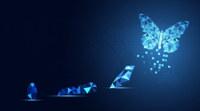 Achieving Lasting Success Through Agile Transformation